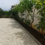 Ayla Apartamento Vir